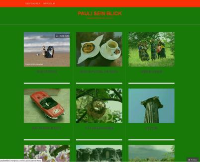 PauliseinBlick